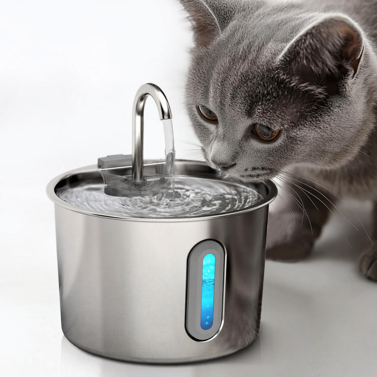 Cat Fountain Water Magic